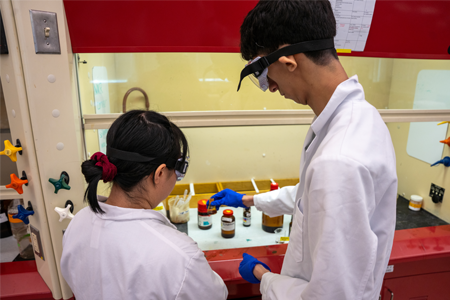students studying