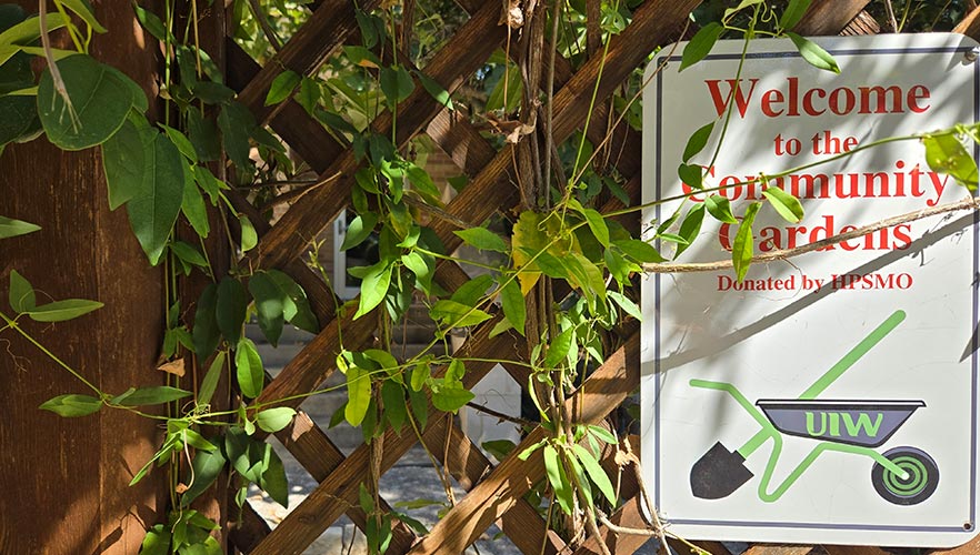Garden