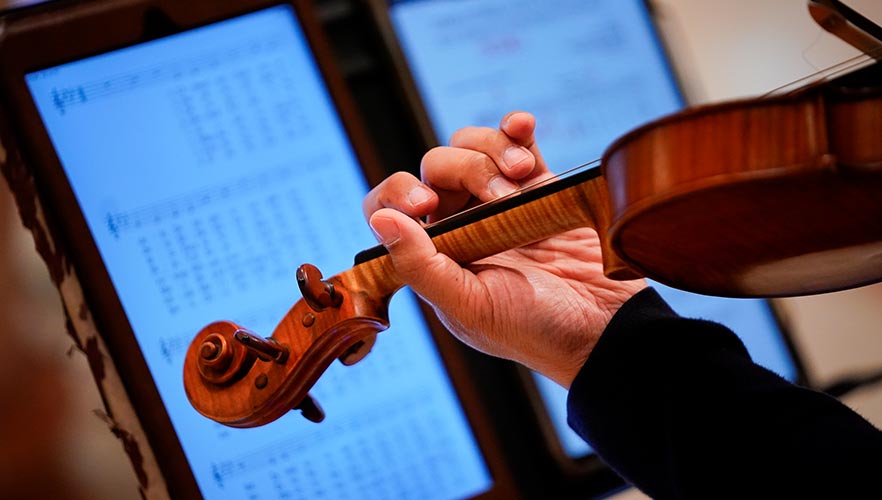 Violin