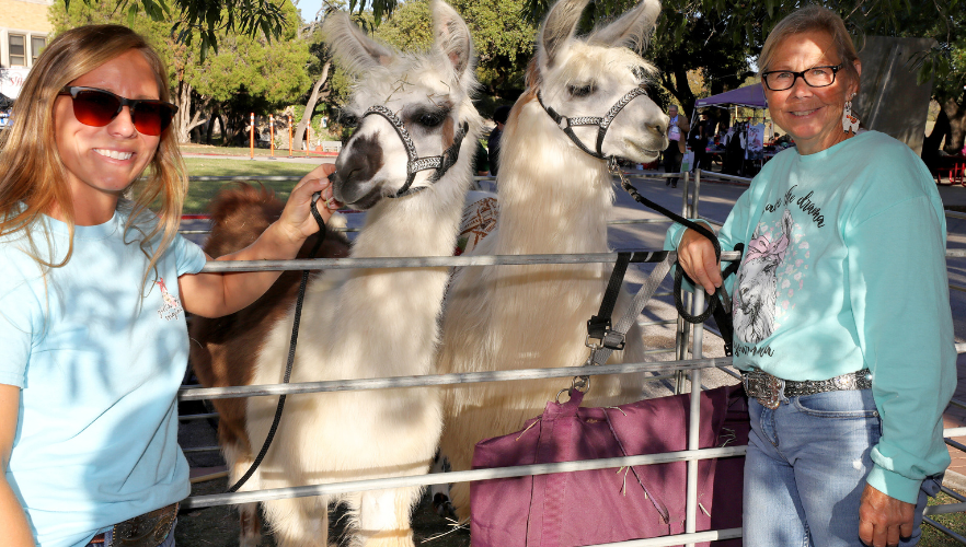 Petting zoo