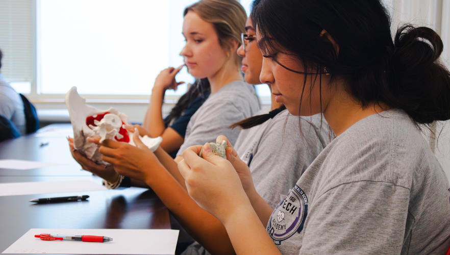 Health Professions Discovery Day